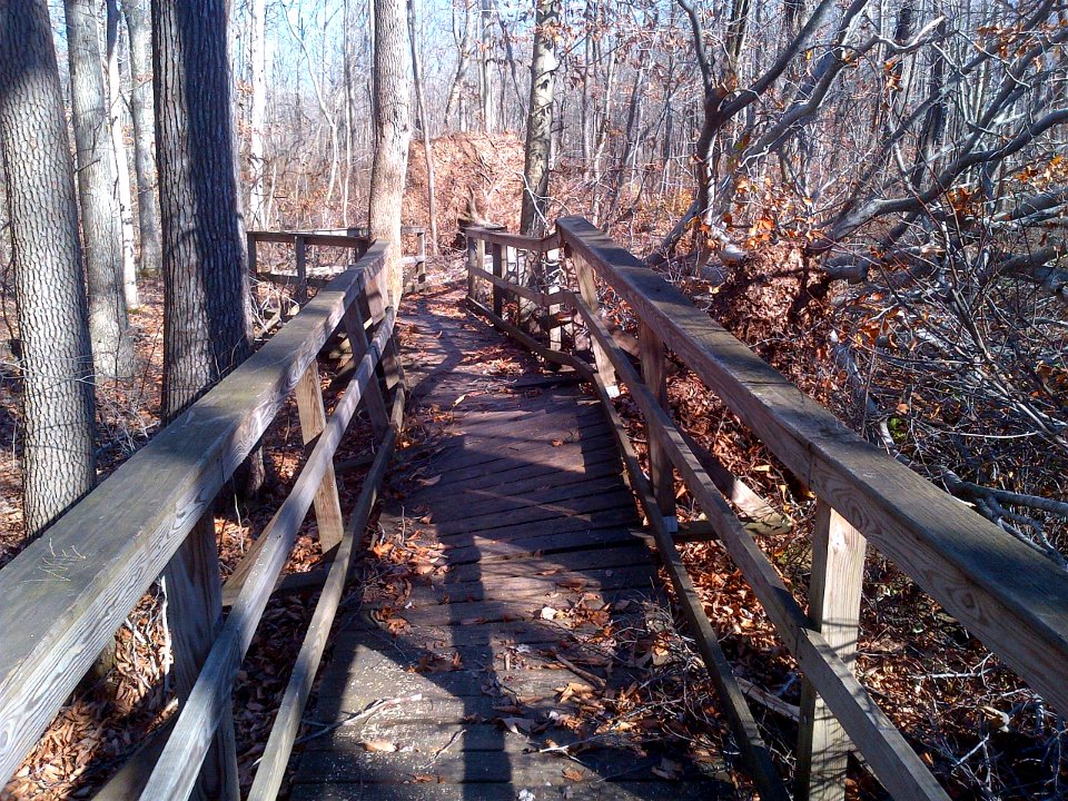 Hurricane Sandy caused damage at Great Swamp National Wildlife Refuge (NJ)