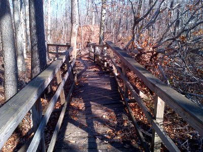 Hurricane Sandy caused damage at Great Swamp National Wildlife Refuge (NJ)