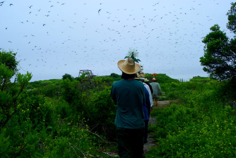 Great Gull Island, NY