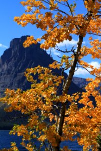 Sinopah Mtn in Two Medicine