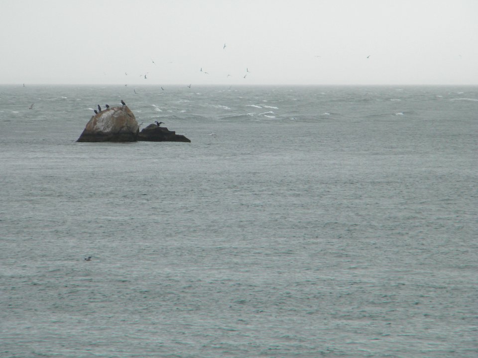 Great Gull Island, NY