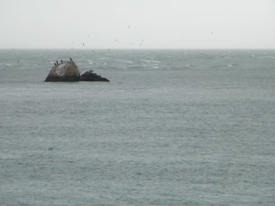 Great Gull Island, NY