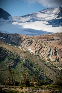 Grizzly Bear and Sperry Glacier
