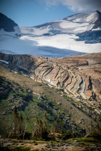 Grizzly Bear and Sperry Glacier photo