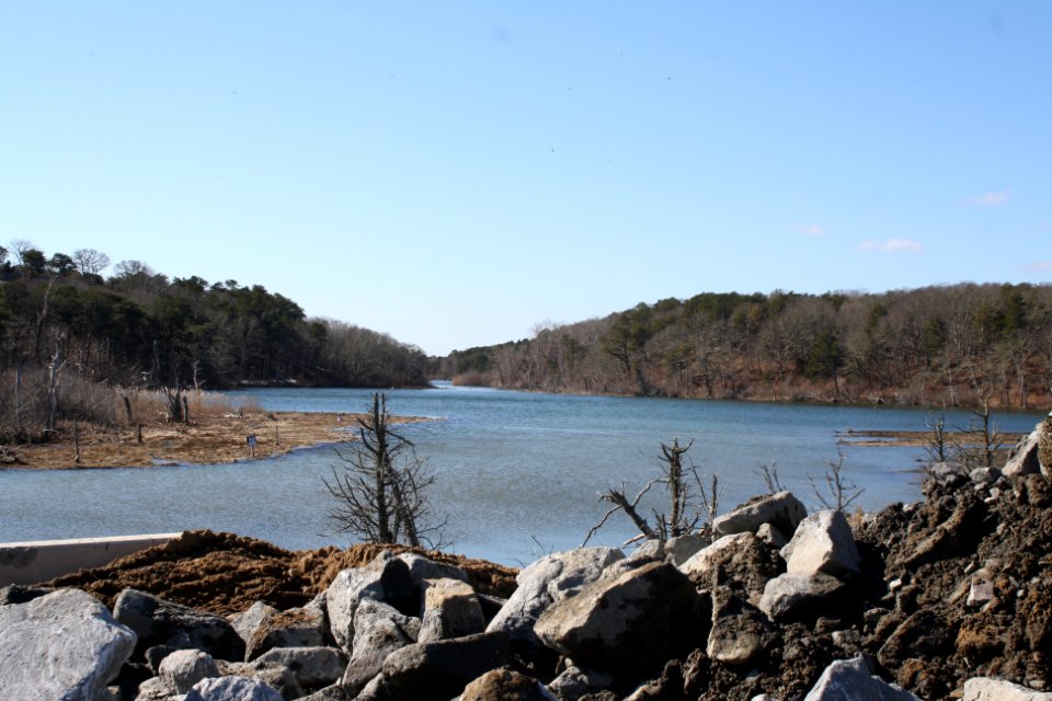 Muddy Creek wetland restoration project site