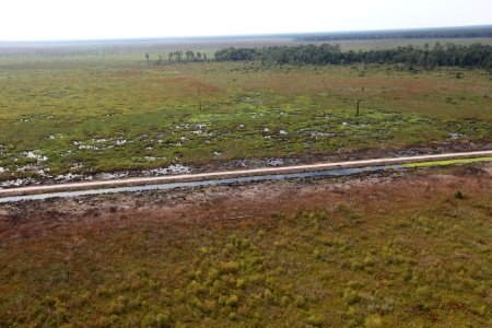 Day 5 - Great Dismal Swamp, VA - Hurricane Sandy Aerial Tour