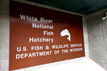 Hatchery Sign photo