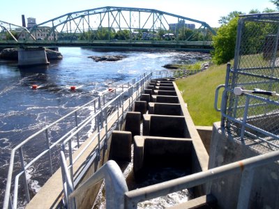 Vertical slot fishway