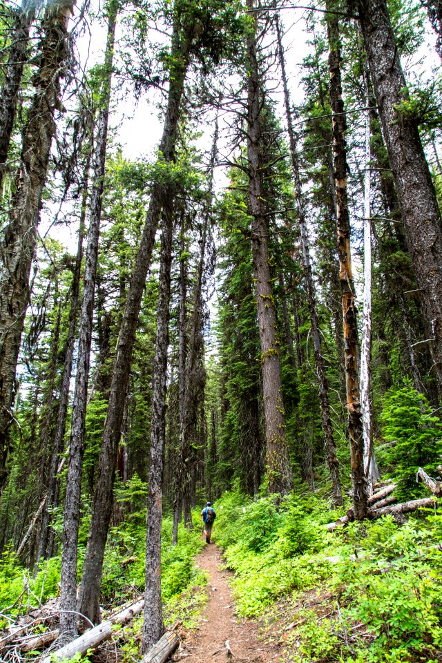 Quartz Lake Trail over Cerulean Ridge (2)
