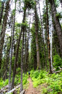 Quartz Lake Trail over Cerulean Ridge (2)