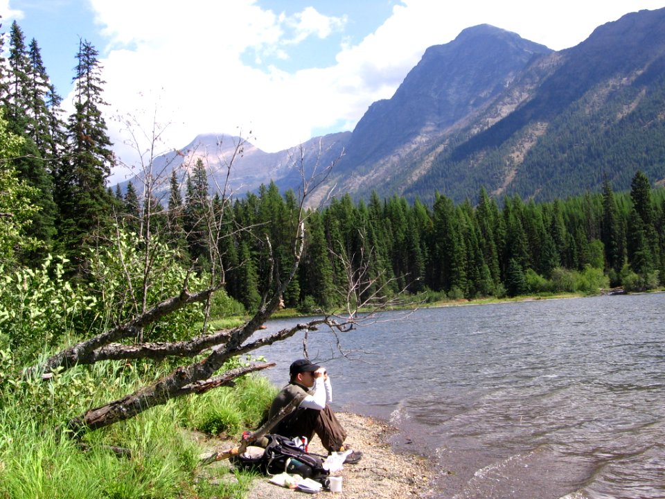 Conducting a Loon Survey (Citizen Science)