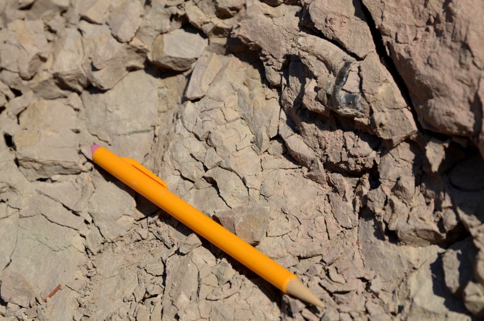 Fossil Tooth in the Cliff