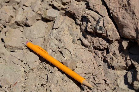 Fossil Tooth in the Cliff