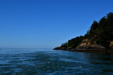 DSC 0003