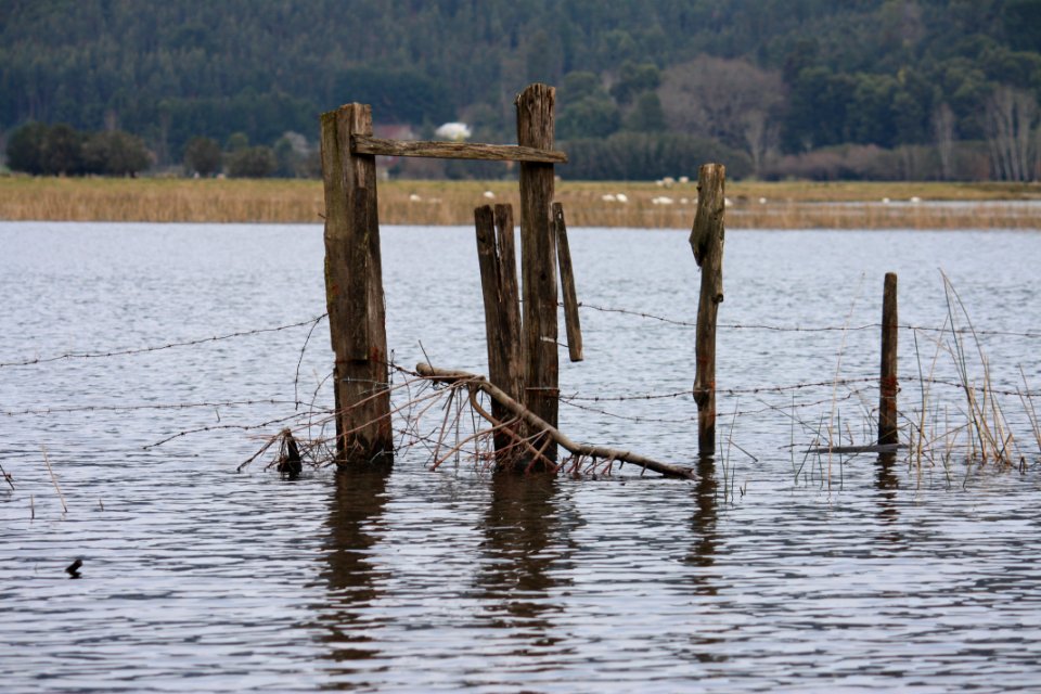 Puertas del lago Lanalhue