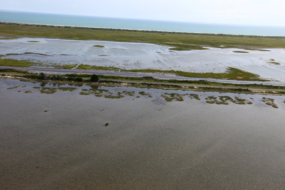 Day 4  - Tom's Cove, Chincoteague National Wildlife Refuge- Hurricane Sandy Aerial Tour