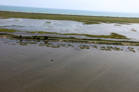 Day 4 - Tom's Cove, Chincoteague National Wildlife Refuge- Hurricane Sandy Aerial Tour photo