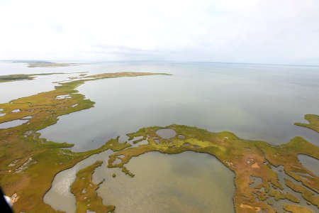 Day 4 - Tom's Cove, Chincoteague National Wildlife Refuge- Hurricane Sandy Aerial Tour photo