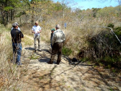 Abigails Brook fish passage project