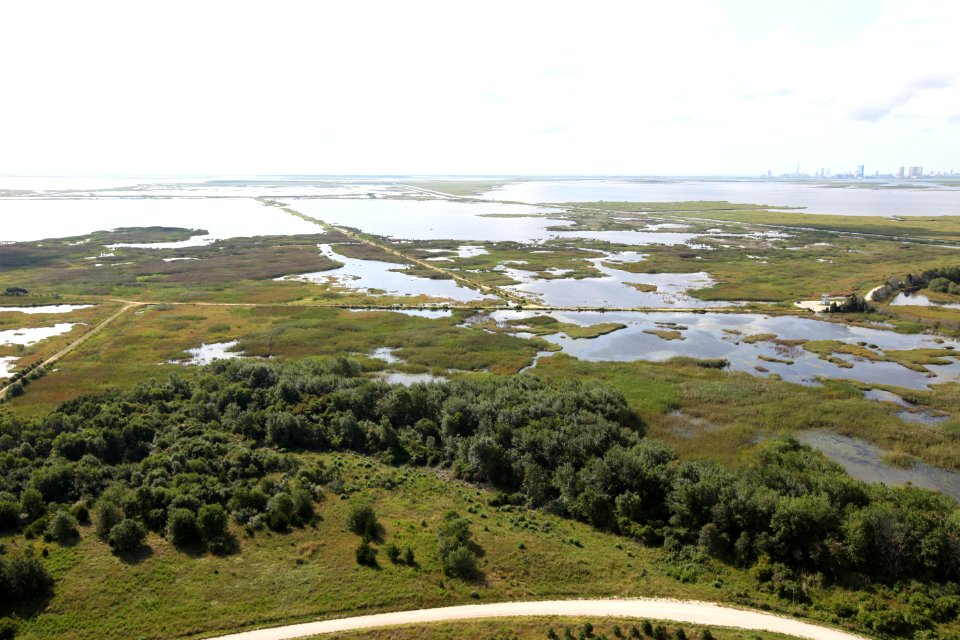 Day 2 - Forsythe National Wildlife Refuge Flyover