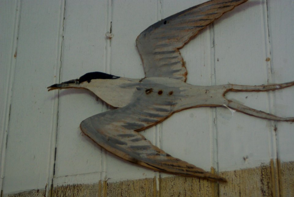 Great Gull Island, NY