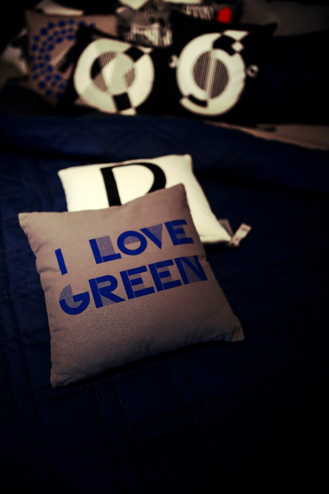 Decor pillow green