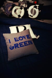 Decor pillow green photo