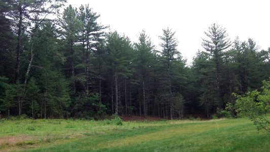 Assabet River National Wildlife Refuge