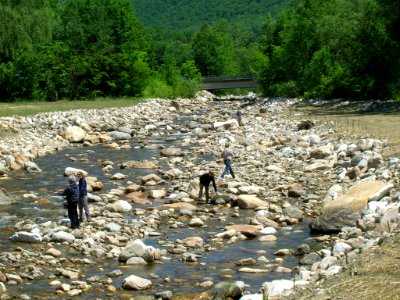 Briggsville Dam Removal Celebration
