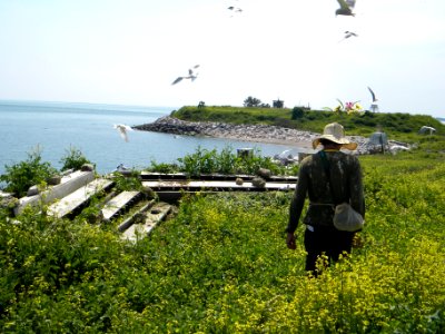 Great Gull Island, NY