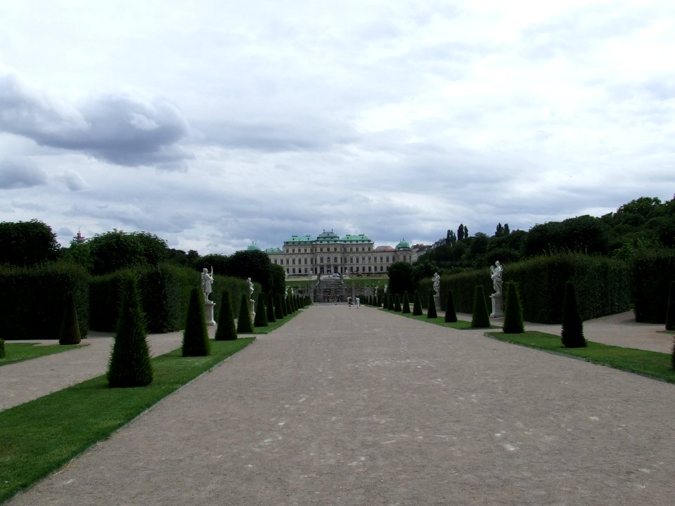 Viena