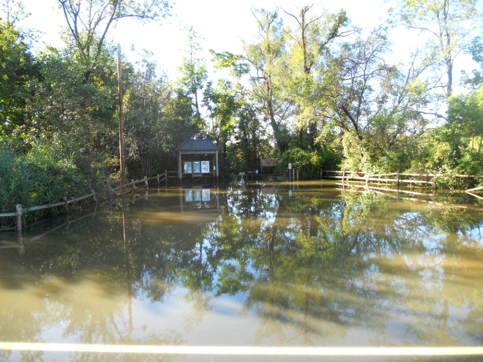 Hurricane Damage at Wallkill River National Wildlife Refuge August 30, 2011