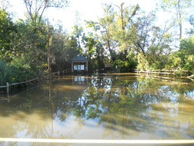 Hurricane Damage at Wallkill River National Wildlife Refuge August 30, 2011