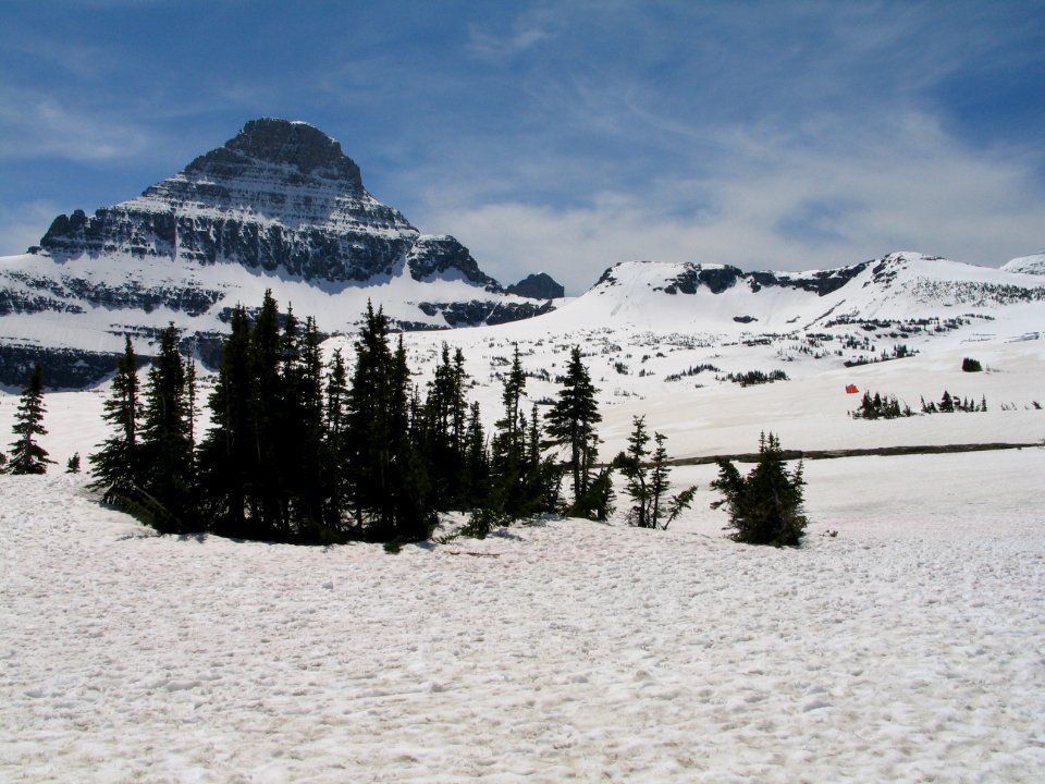 Logan Pass in spring
