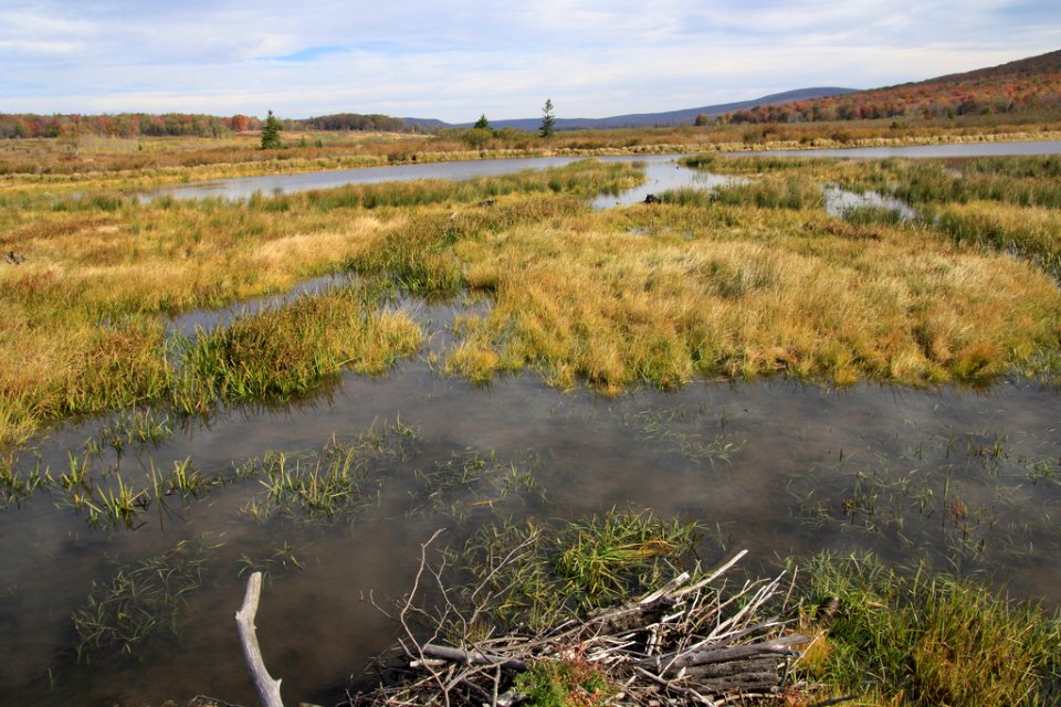 Glade Run Wetlands in Fall