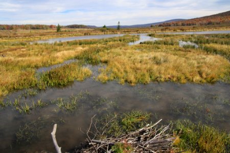 Glade Run Wetlands in Fall photo