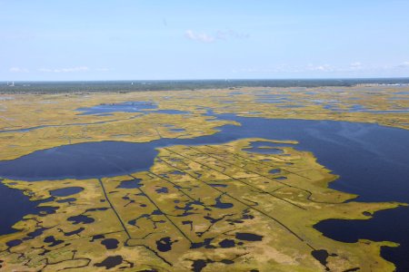 Day 2 - Forsythe National Wildlife Refuge Flyover