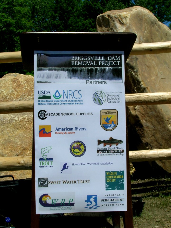 Briggsville Dam Removal Celebration