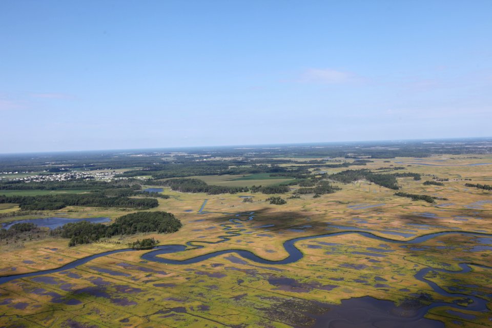 Day 3 - Prime Hook NWR Flyover