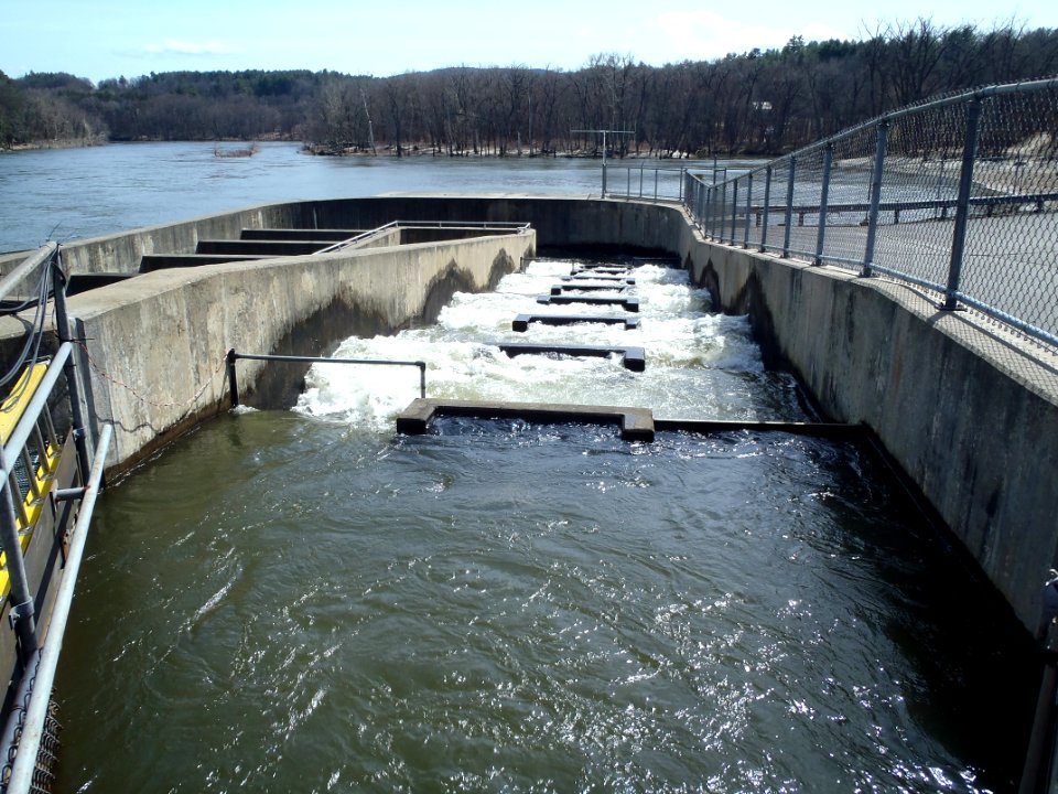 Ice Harbor fish ladder in VT 1
