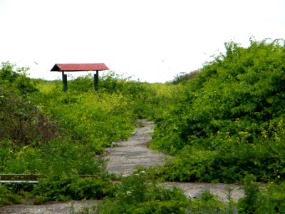 Great Gull Island, NY