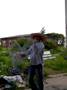 Great Gull Island, NY