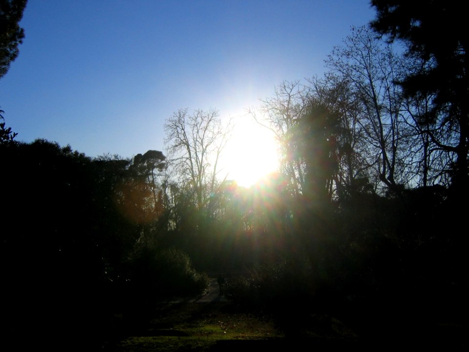 Real Parque del Buen Retiro