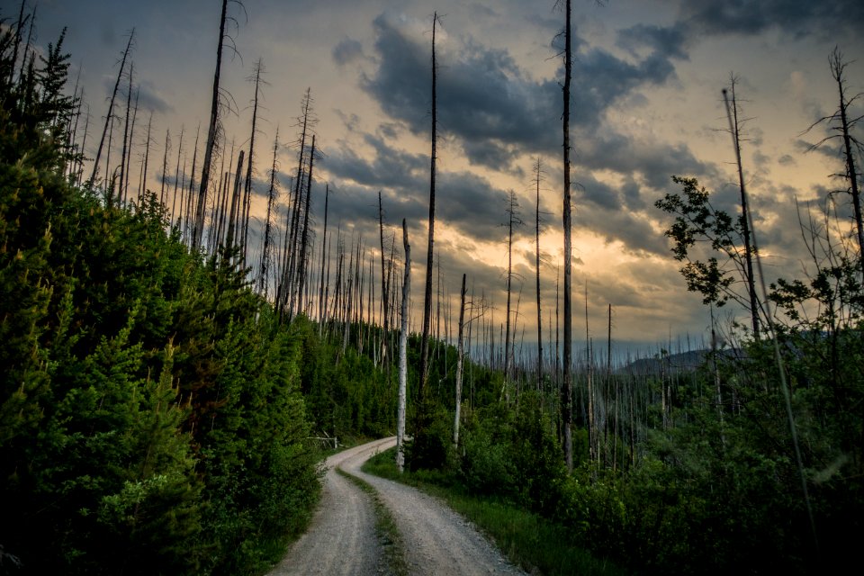 Inside North Fork Road