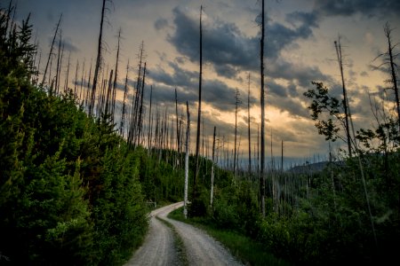 Inside North Fork Road