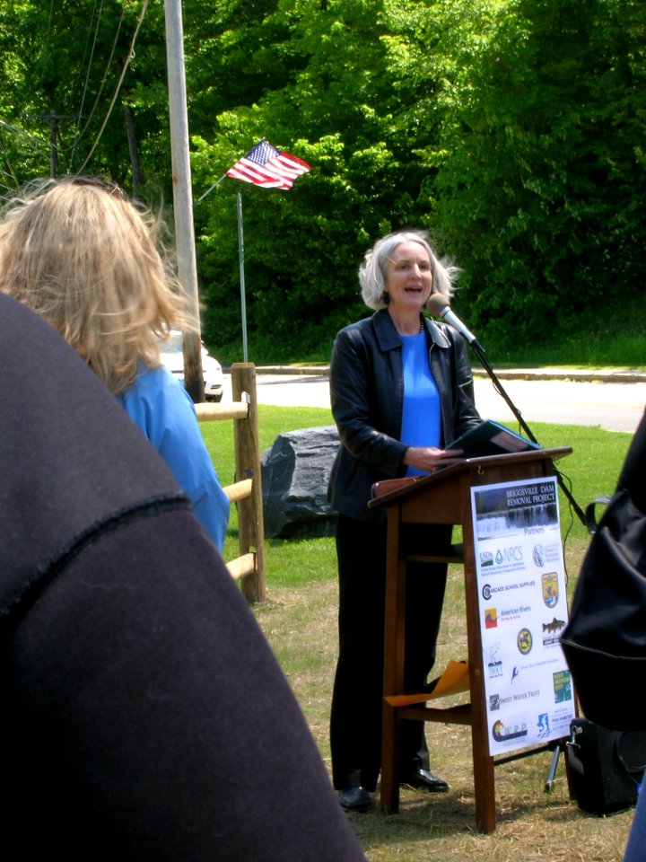 Briggsville Dam Removal Celebration