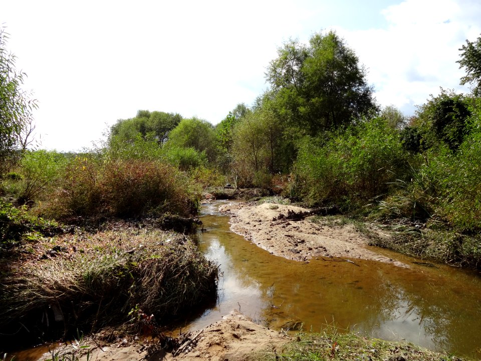Dewey's and Quantico Creeks Restoration