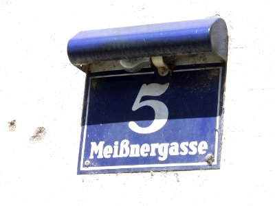 Viena