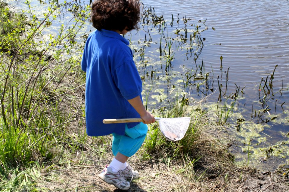 Avery releasing turtle