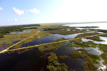 Day 2 - Forsythe National Wildlife Refuge Flyover